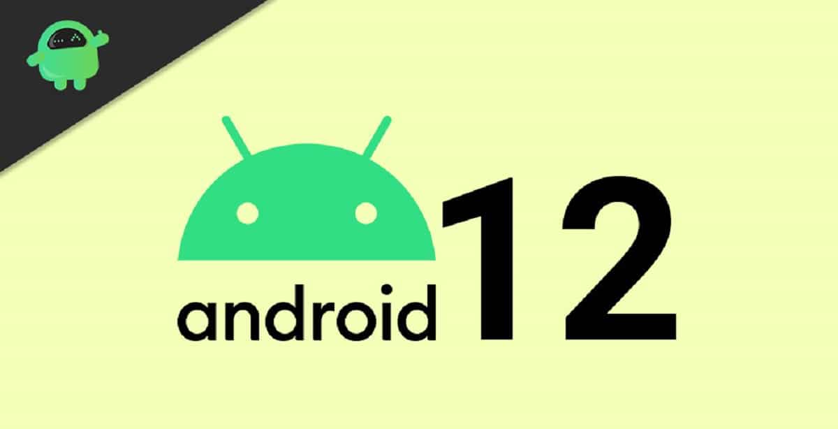 Older Google Pixel & New Android 12 Update
