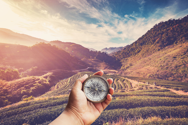 Hand holding compass nad tea field and sunrise vintage in mornin