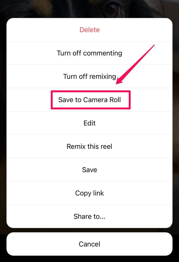 Use Camera Roll to Download Your Own IG Reels