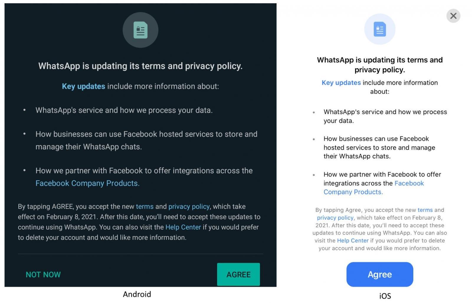 Facebook's New Terms of Service for WhatsApp